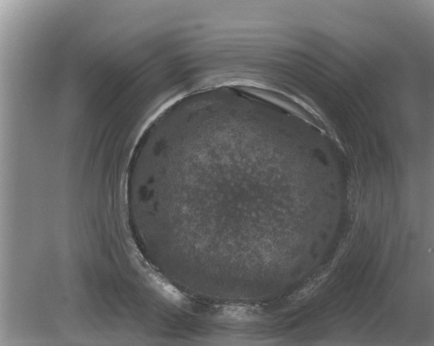 X0000080180790200612151947