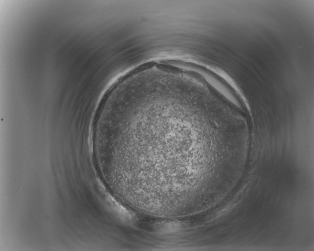 X0000080180791200612151947