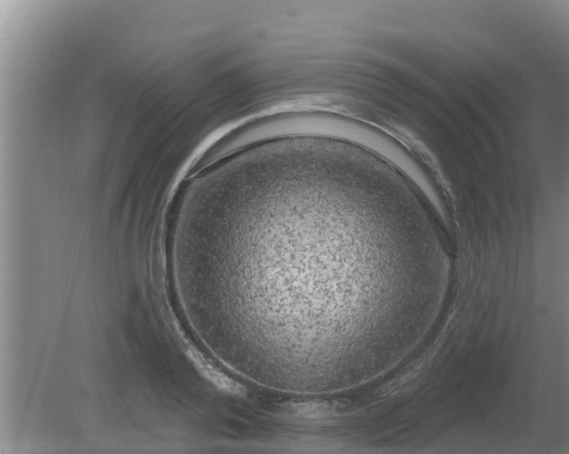 X0000080180792200612151947