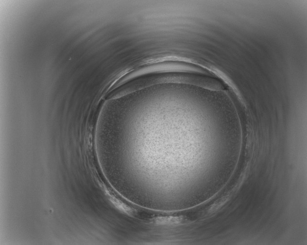 X0000080180793200612151947