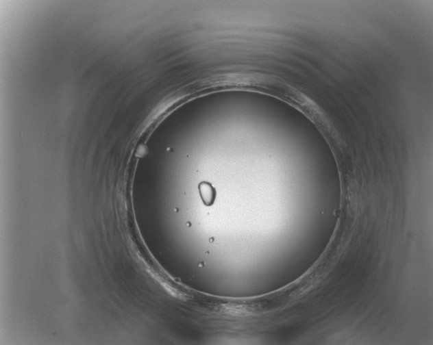 X0000080180794200612151947