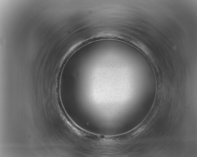 X0000080180799200612151947