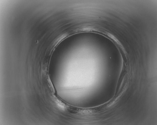 X0000080180801200612151947