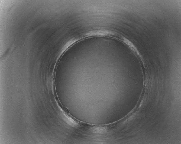 X0000080180802200612151947