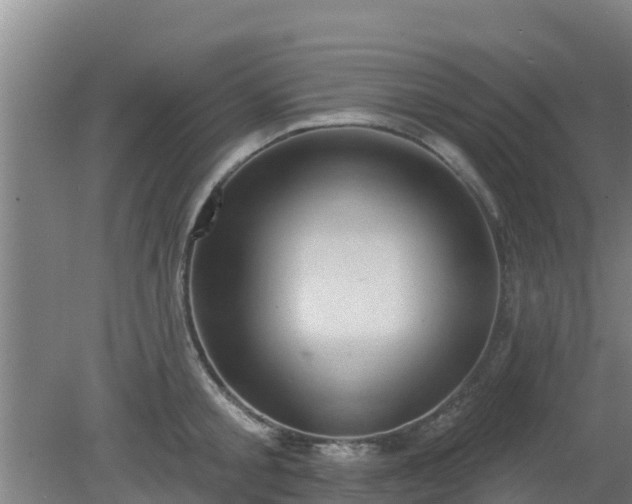 X0000080180805200612151947