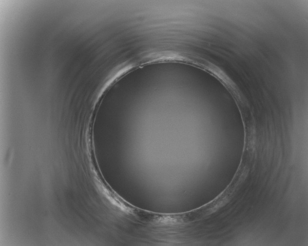 X0000080180806200612151947