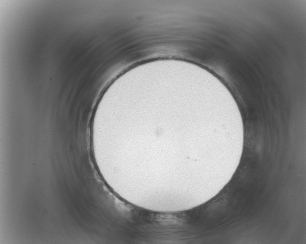 X0000080180807200612151947