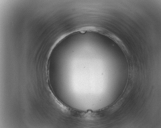 X0000080180808200612151947