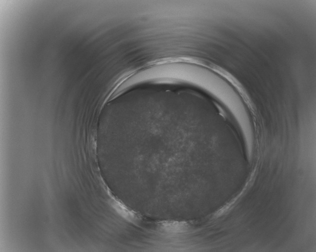 X0000080180809200612151947