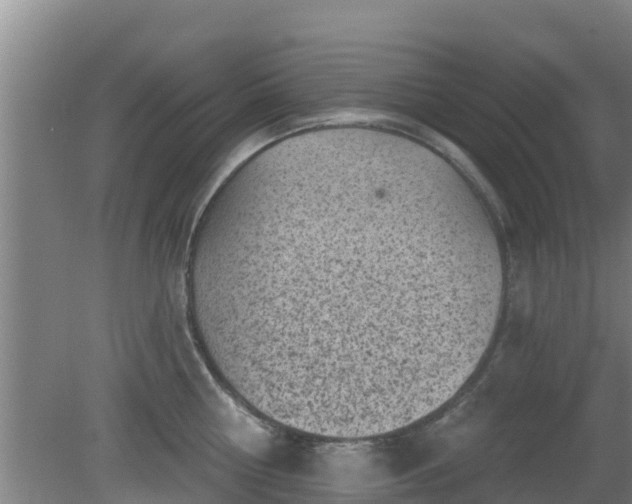 X0000080180810200612151947