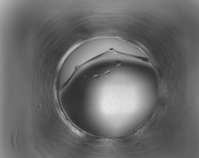 X0000080180812200612151947