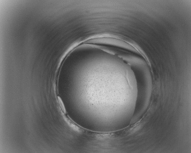 X0000080180813200612151947