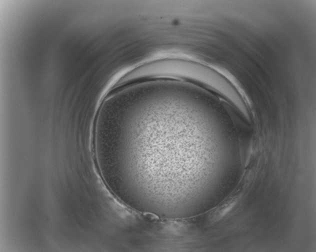 X0000080180815200612151947