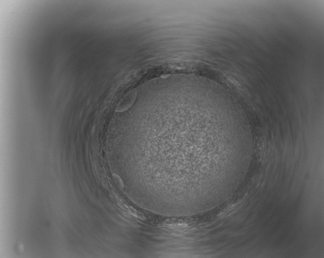 X0000080180817200612151946