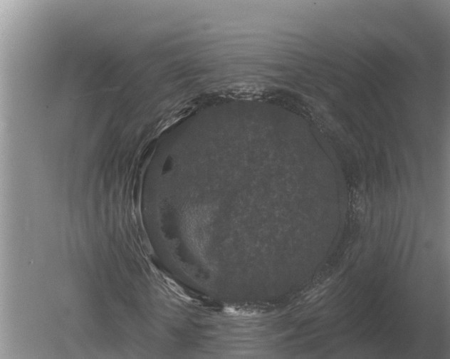 X0000080180818200612151946