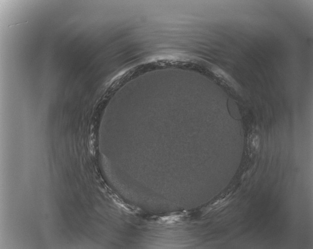 X0000080180822200612151946