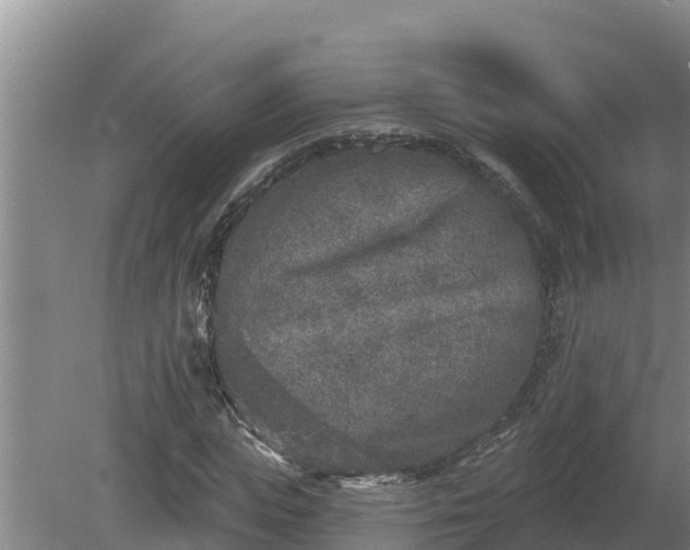 X0000080180823200612151946