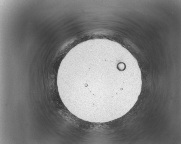 X0000080180824200612151946