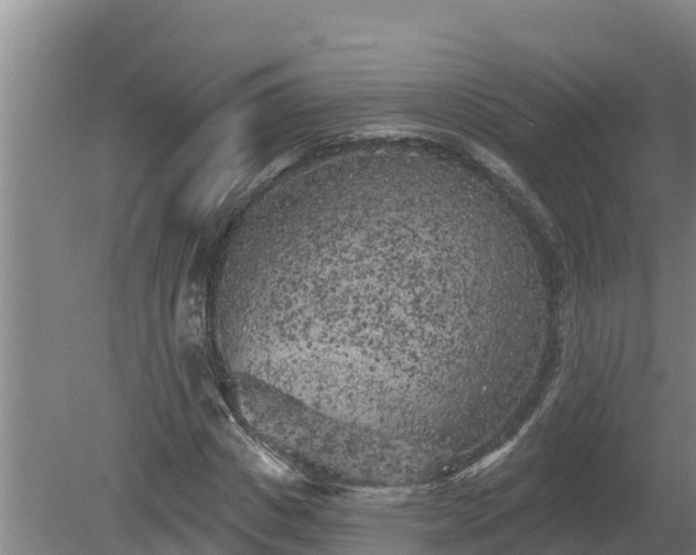 X0000080180825200612151946