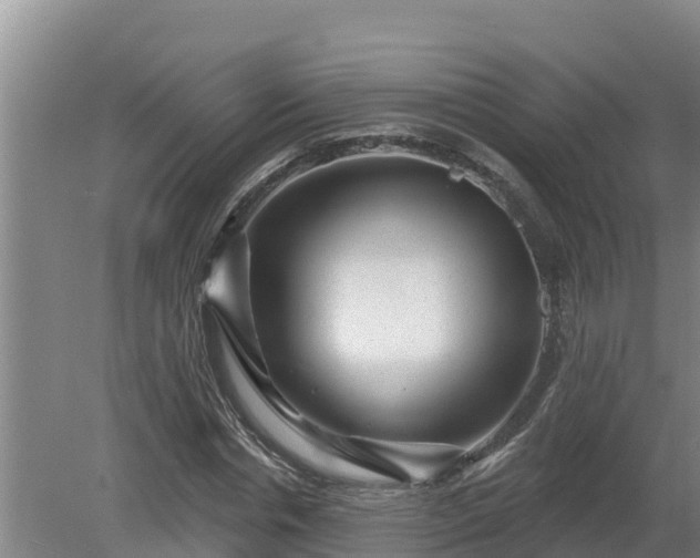 X0000080180826200612151946