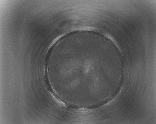 X0000080180829200612151946