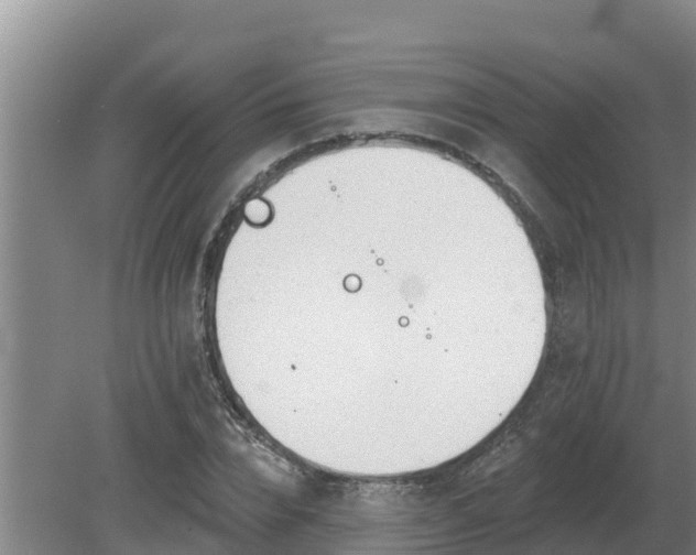 X0000080180832200612151946