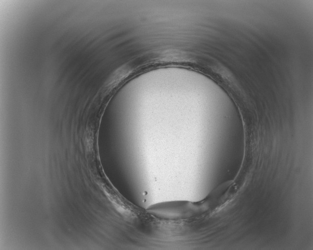 X0000080180833200612151946