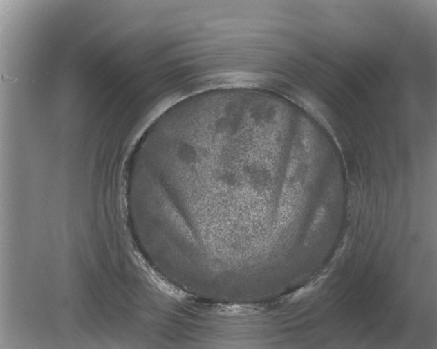 X0000080180835200612151946