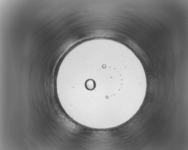 X0000080180836200612151946