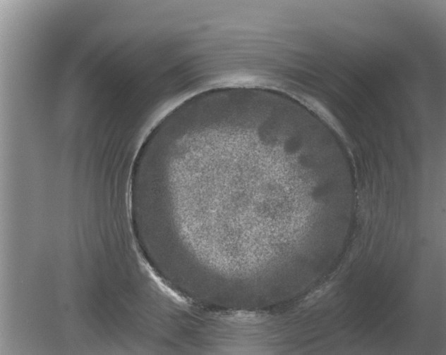 X0000080180839200612151946