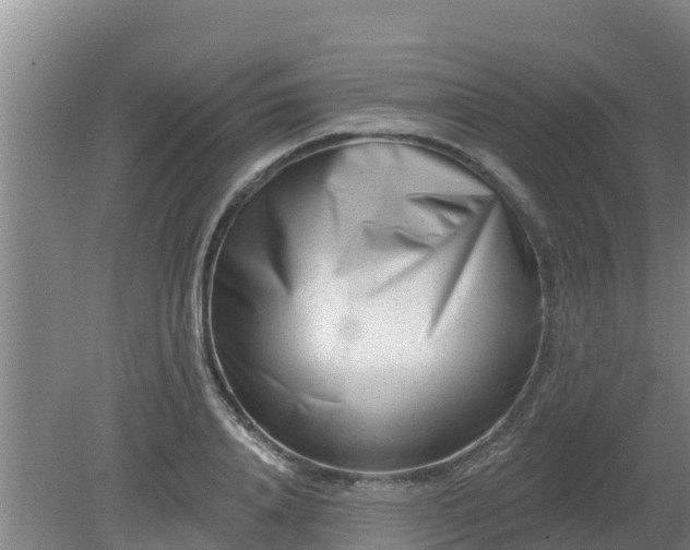 X0000080180840200612151946