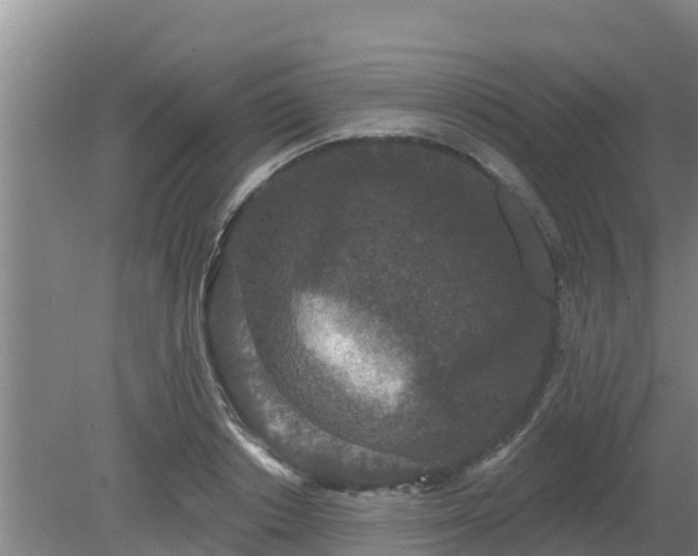 X0000080180842200612151946