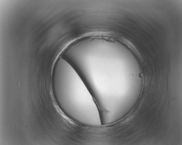 X0000080180844200612151946