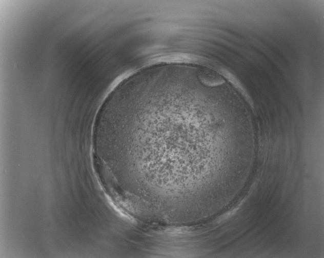 X0000080180845200612151946