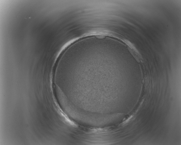 X0000080180846200612151946