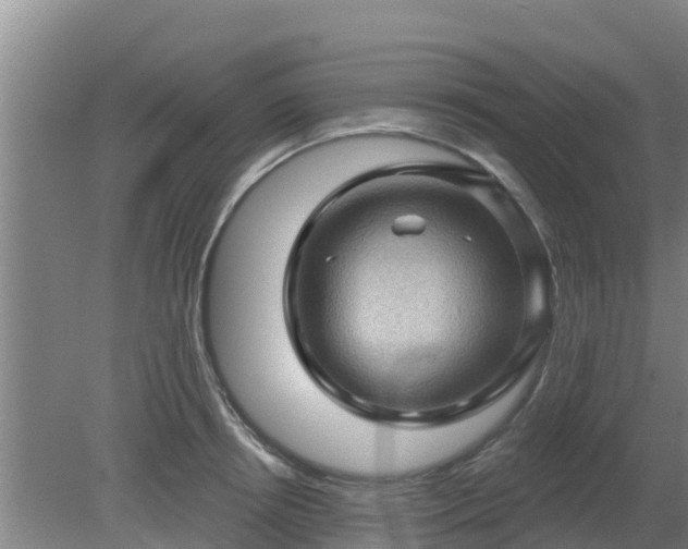 X0000080180850200612151946