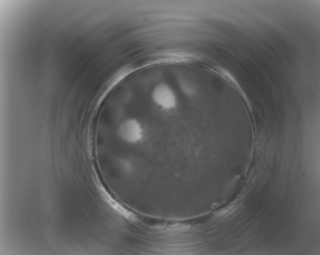 X0000080180851200612151946