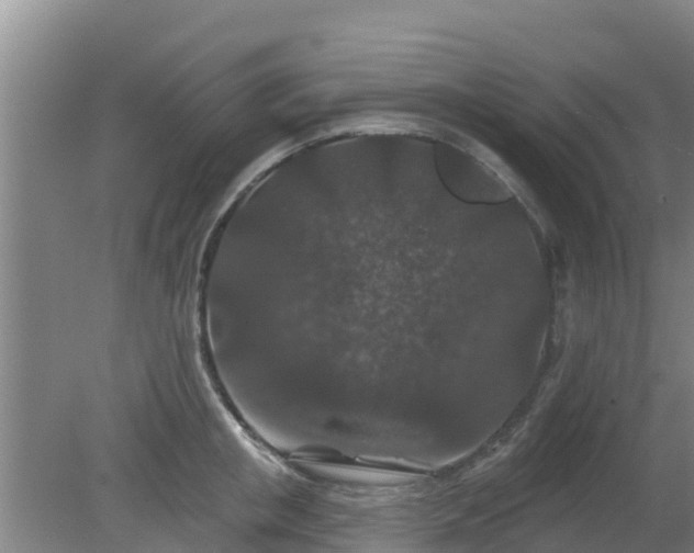 X0000080180853200612151946