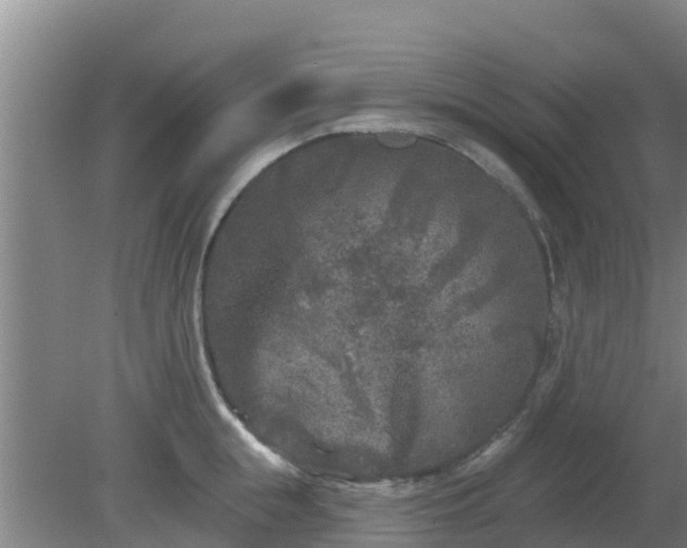 X0000080180855200612151946