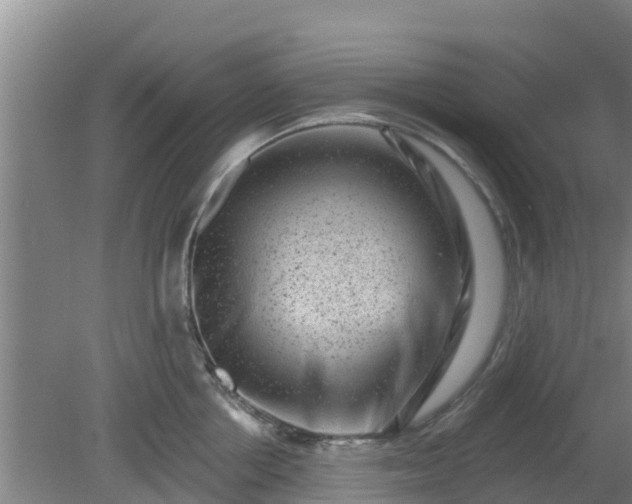 X0000080180858200612151946