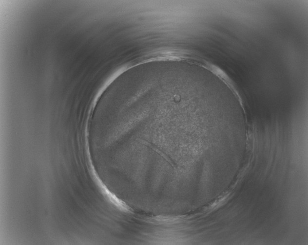 X0000080180859200612151946