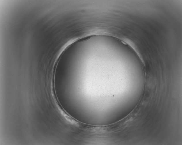 X0000080180861200612151946