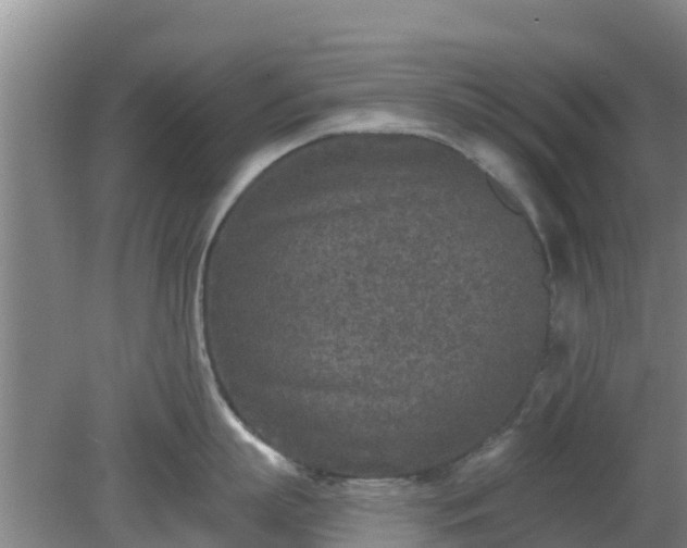 X0000080180863200612151947