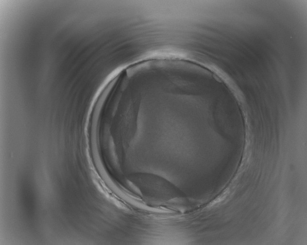 X0000080180864200612151947