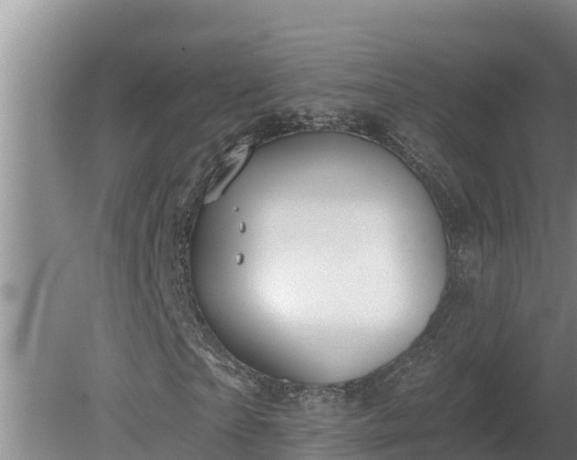 X0000080180865200612151946