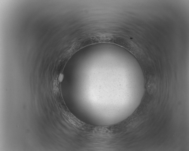 X0000080180866200612151946