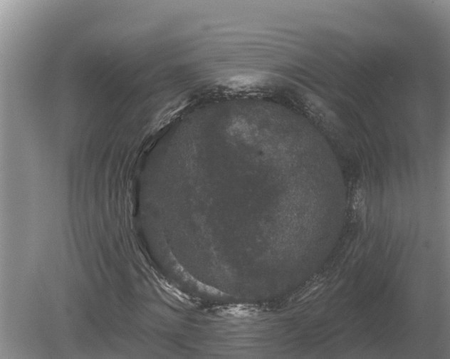 X0000080180868200612151946