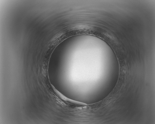 X0000080180869200612151946