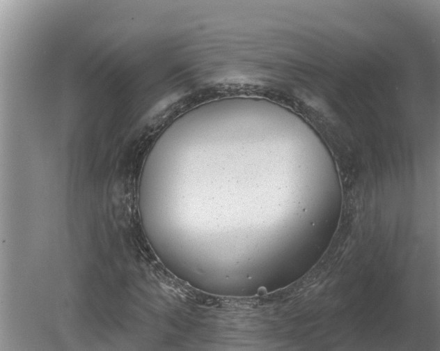 X0000080180870200612151946