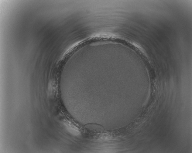 X0000080180872200612151946